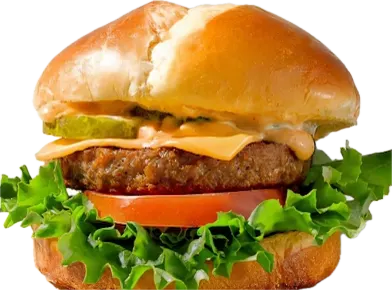 Vegetarian Burger
